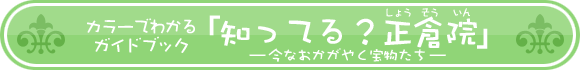 カラーでわかるガイドブック　知ってる？正倉院―今なおかがやく宝物たち―